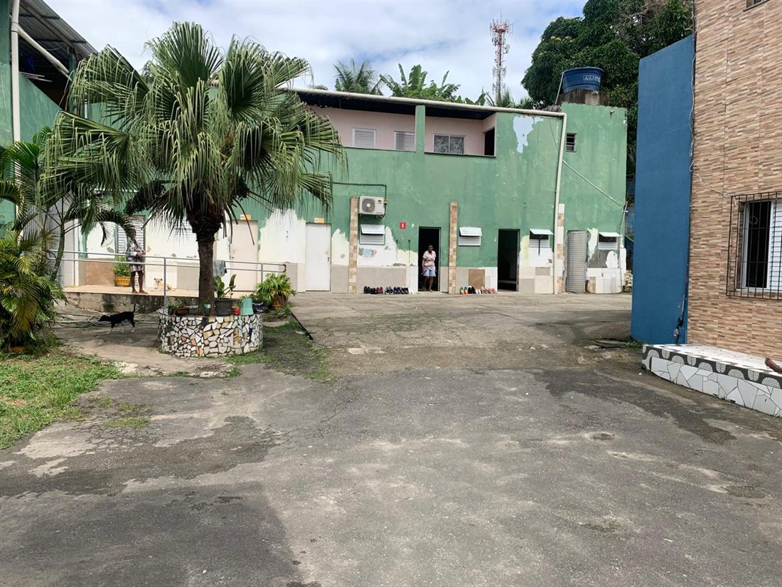 Jardim e área externa